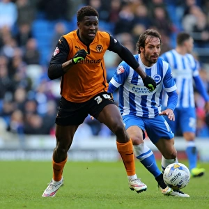 Sky Bet Championship Collection: Sky Bet Championship - Brighton and Hove Albion v Wolves - AMEX Stadium