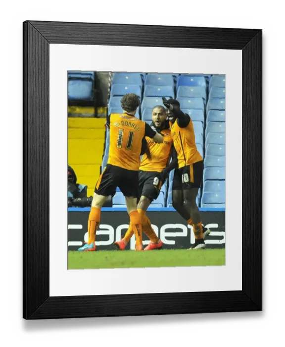 Framed Print : Wolverhampton Wanderers Clinch Championship Title: Leon Clarke's Winning Goal Against Sheffield Wednesday (Hillsborough) Framed Print : Wolverhampton Wanderers Clinch Championship Title: Leon Clarke's Winning Goal Against Sheffield Wednesday (Hillsborough)