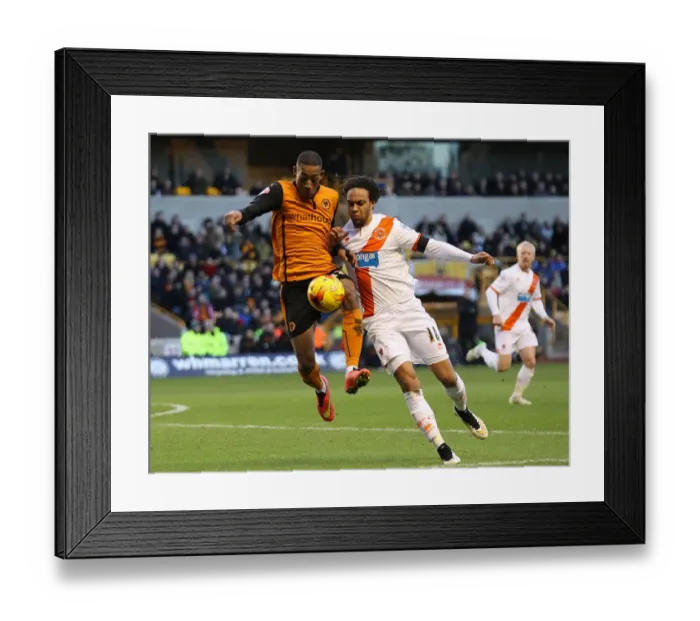 Framed Print : Sky Bet Championship - Wolverhampton Wanderers v Blackpool - Molineux Stadium Framed Print : Sky Bet Championship - Wolverhampton Wanderers v Blackpool - Molineux Stadium