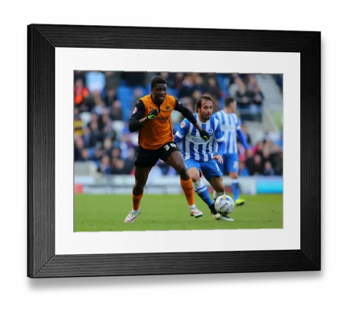 Framed Print : Wolverhampton Wanderers vs Brighton & Hove Albion: Clash between Kortney Hause and Inigo Calderon Framed Print : Wolverhampton Wanderers vs Brighton & Hove Albion: Clash between Kortney Hause and Inigo Calderon