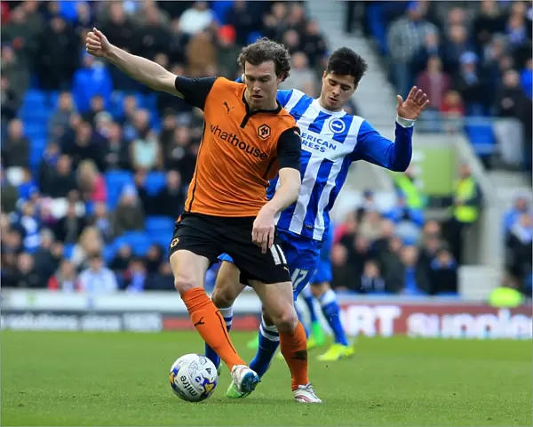 Sky Bet Championship - Brighton and Hove Albion v Wolves - AMEX Stadium