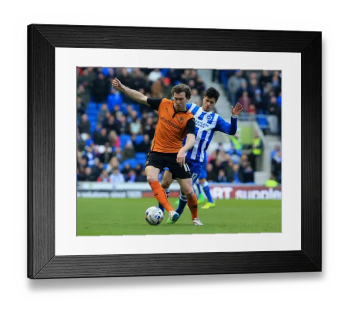 Framed Print : Sky Bet Championship - Brighton and Hove Albion v Wolves - AMEX Stadium Framed Print : Sky Bet Championship - Brighton and Hove Albion v Wolves - AMEX Stadium