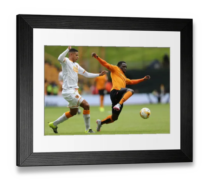 Framed Print : Sky Bet Championship - Wolves v Hull City - Molineux Framed Print : Sky Bet Championship - Wolves v Hull City - Molineux