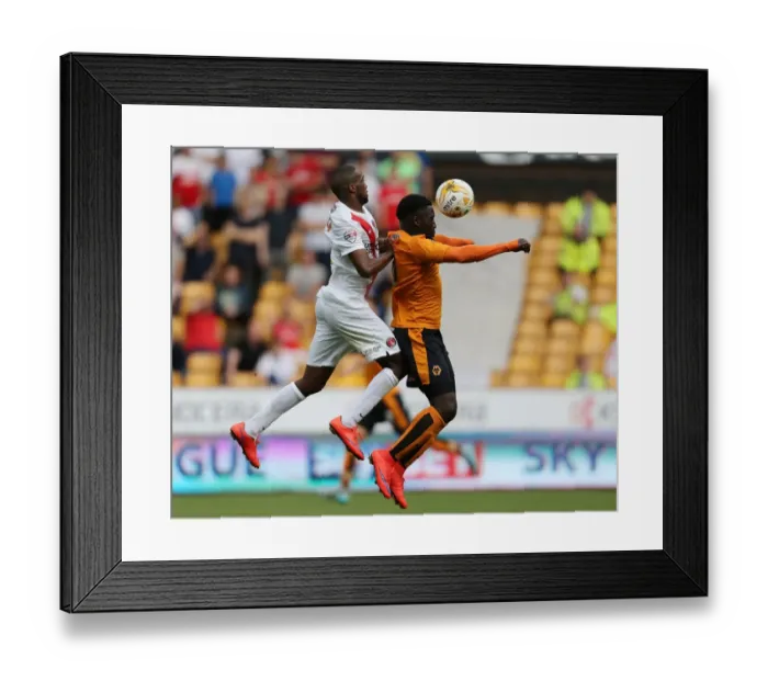 Framed Print : Sky Bet Championship - Wolves v Charlton Athletic - Molineux