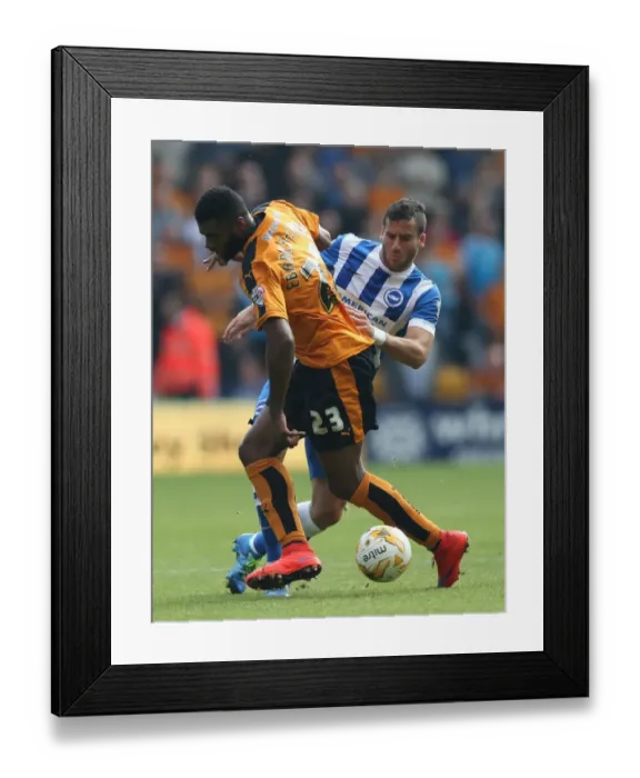 Framed Print : Sky Bet Championship - Wolves v Brighton and Hove Albion - Molineux Framed Print : Sky Bet Championship - Wolves v Brighton and Hove Albion - Molineux