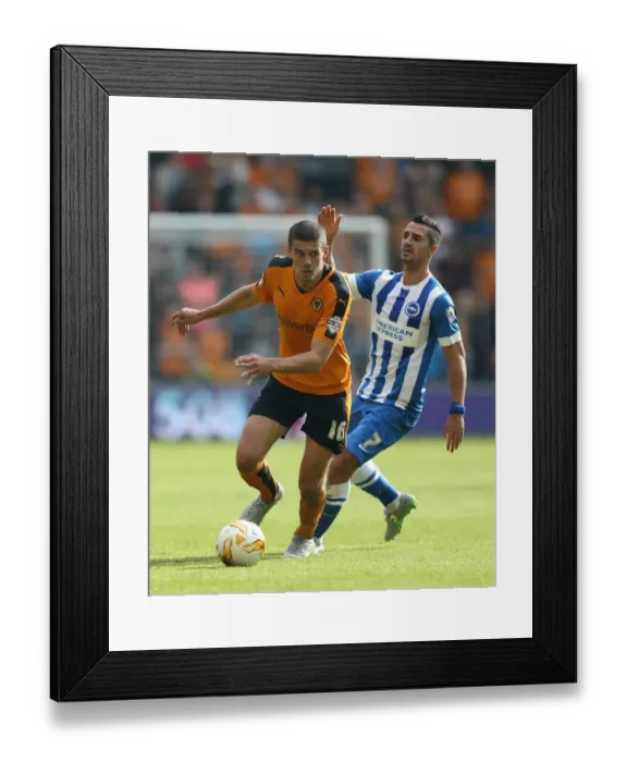 Framed Print : Wolverhampton Wanderers Conor Coady Outmaneuvers Brighton's Biram Kayal in Sky Bet Championship Clash at Molineux Framed Print : Wolverhampton Wanderers Conor Coady Outmaneuvers Brighton's Biram Kayal in Sky Bet Championship Clash at Molineux