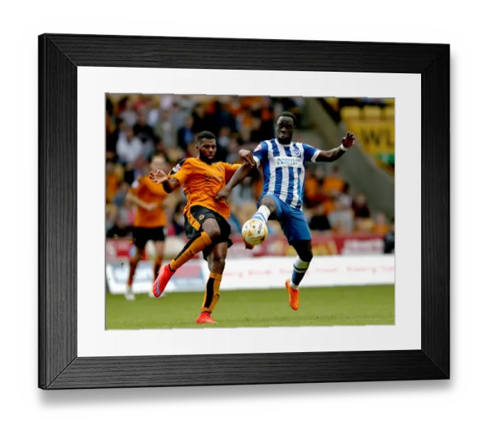 Framed Print : Wolves vs Brighton: Ebanks-Landell vs Manu - Championship Battle at Molineux Framed Print : Wolves vs Brighton: Ebanks-Landell vs Manu - Championship Battle at Molineux