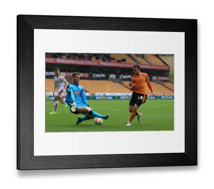 Framed Print : Wolverhampton Wanderers vs Huddersfield Town: Le Fondre's Dramatic Shot Saved by Steer in Championship Showdown Framed Print : Wolverhampton Wanderers vs Huddersfield Town: Le Fondre's Dramatic Shot Saved by Steer in Championship Showdown