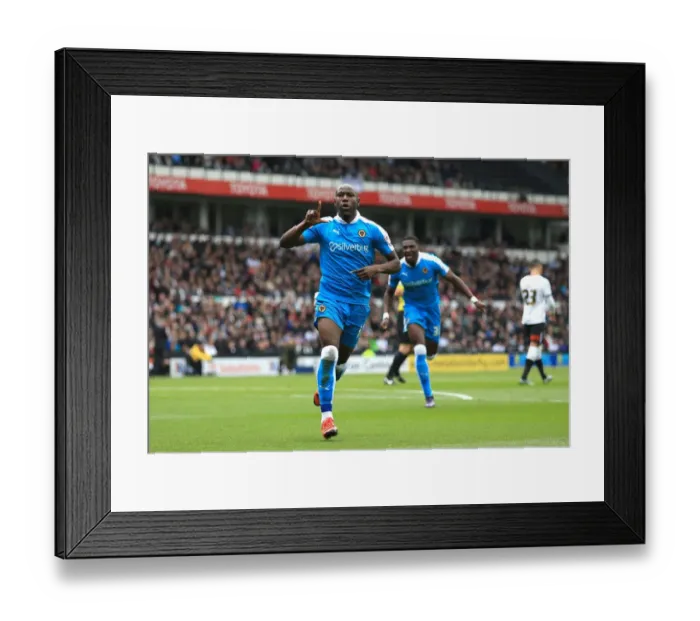 Framed Print : Sky Bet Championship - Derby County v Wolves - iPro Stadium Framed Print : Sky Bet Championship - Derby County v Wolves - iPro Stadium