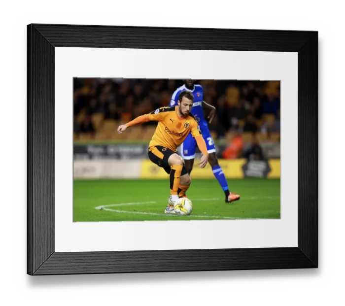 Framed Print : Wolves vs Brentford: Adam Le Fondre at Molineux in Sky Bet Championship Framed Print : Wolves vs Brentford: Adam Le Fondre at Molineux in Sky Bet Championship