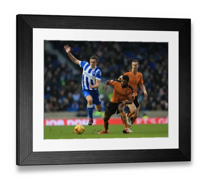 Framed Print : Wolverhampton Wanderers vs Brighton & Hove Albion: A Battle for Supremacy in the Sky Bet Championship (2015-16) Framed Print : Wolverhampton Wanderers vs Brighton & Hove Albion: A Battle for Supremacy in the Sky Bet Championship (2015-16)