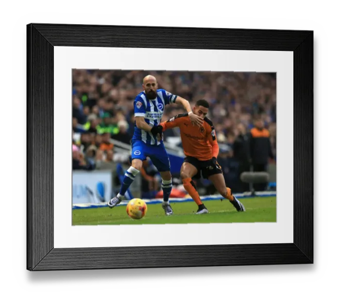 Framed Print : Sky Bet Championship - Brighton and Hove Albion v Wolves - AMEX Stadium Framed Print : Sky Bet Championship - Brighton and Hove Albion v Wolves - AMEX Stadium