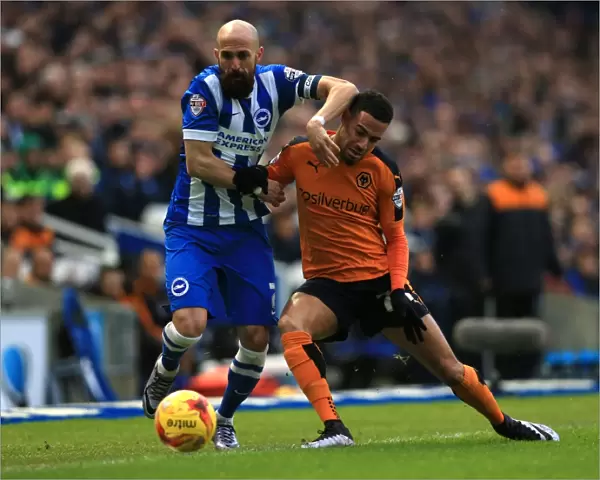 Battling for Supremacy: Saltor vs. Graham in the Sky Bet Championship Clash between Brighton & Hove Albion and Wolverhampton Wanderers