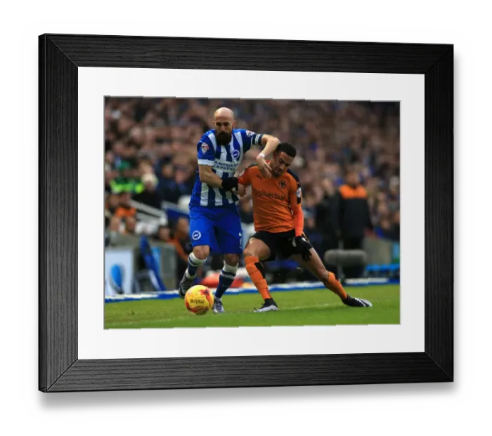 Framed Print : Battling for Supremacy: Saltor vs. Graham in the Sky Bet Championship Clash between Brighton & Hove Albion and Wolverhampton Wanderers Framed Print : Battling for Supremacy: Saltor vs. Graham in the Sky Bet Championship Clash between Brighton & Hove Albion and Wolverhampton Wanderers