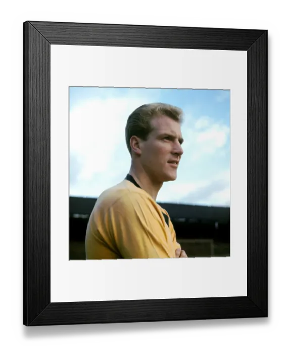 Framed Print : Ron Flowers Framed Print : Ron Flowers