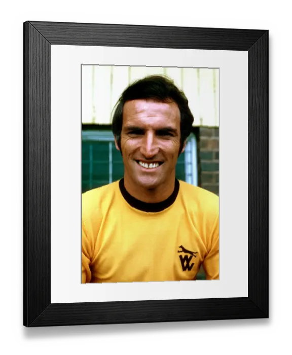 Framed Print : Derek Dougan