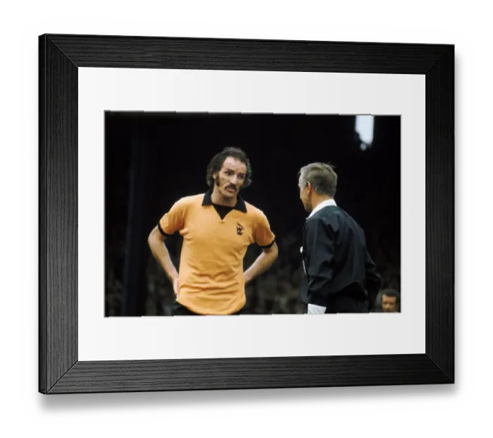 Framed Print : Football League Division One - Wolves