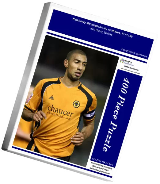 Karl Henry, Birmingham City vs Wolves, 13  /  1  /  09