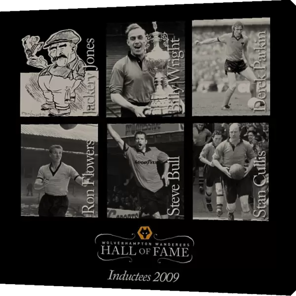 Hall of Fame 2009 Inductees