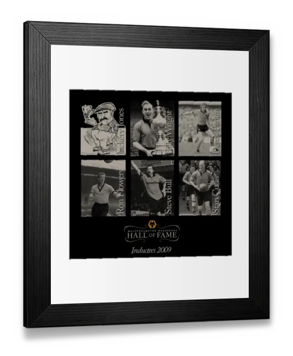 Framed Print : Hall of Fame 2009 Inductees Framed Print : Hall of Fame 2009 Inductees
