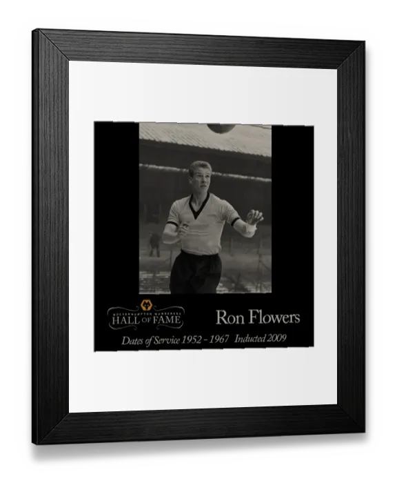 Framed Print : Ron Flowers Framed Print : Ron Flowers