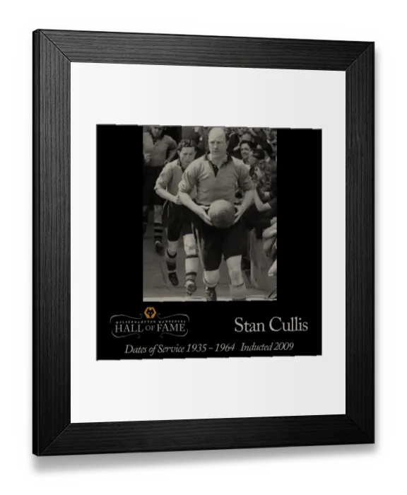 Framed Print : Hall of Fame 2009 Framed Print : Hall of Fame 2009