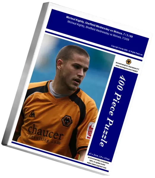 Micheal Kightly, Sheffield Wednesday vs Wolves, 7  /  3  /  09