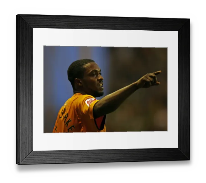 Framed Print : Sylvan Ebanks Blake: Coca-Cola Championship Player of the Year (Wolverhampton Wanderers) Framed Print : Sylvan Ebanks Blake: Coca-Cola Championship Player of the Year (Wolverhampton Wanderers)