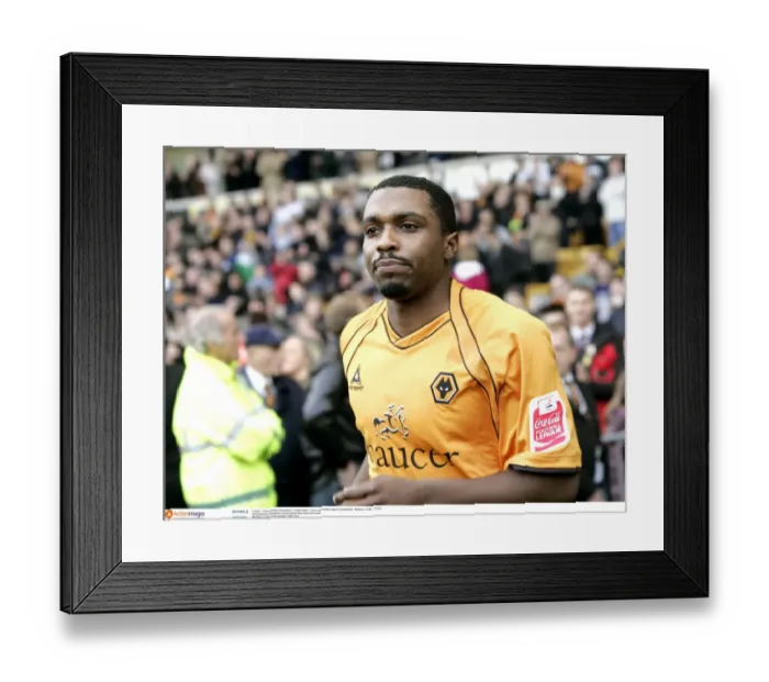 Framed Print : Sylvan Ebanks Blake: Coca-Cola Championship Player of the Year (Wolverhampton Wanderers) Framed Print : Sylvan Ebanks Blake: Coca-Cola Championship Player of the Year (Wolverhampton Wanderers)