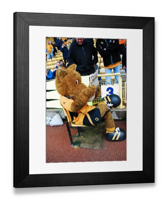 Framed Print : Wolverhampton Wanderers: Wolfie & Wendy - The Beloved Mascots Framed Print : Wolverhampton Wanderers: Wolfie & Wendy - The Beloved Mascots