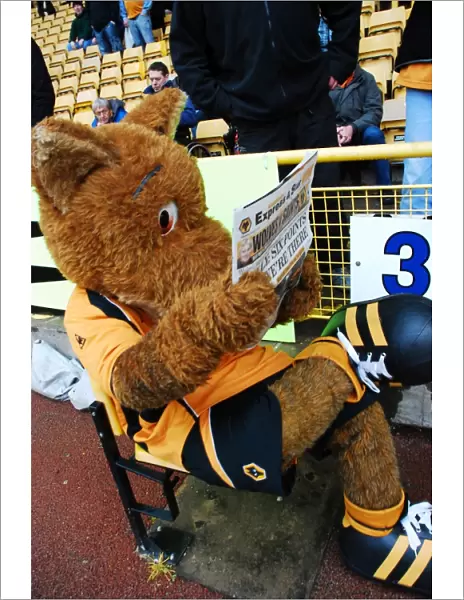 Wolverhampton Wanderers: Wolfie & Wendy - The Iconic Wolf Mascots