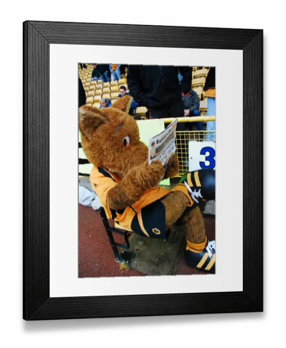 Framed Print : Wolverhampton Wanderers: Wolfie & Wendy - The Iconic Wolf Mascots Framed Print : Wolverhampton Wanderers: Wolfie & Wendy - The Iconic Wolf Mascots