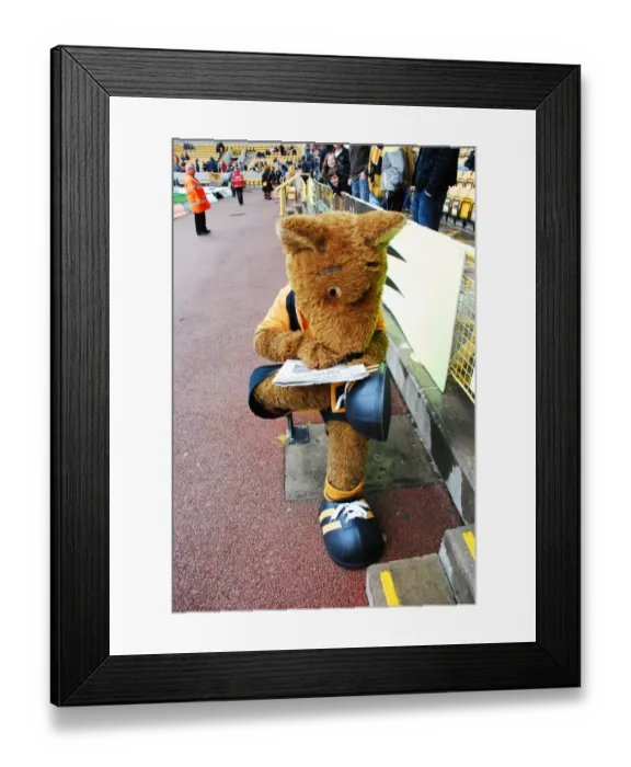 Framed Print : Wolfie & Wendy: The Iconic Wolves Duo of Wolverhampton Wanderers Framed Print : Wolfie & Wendy: The Iconic Wolves Duo of Wolverhampton Wanderers