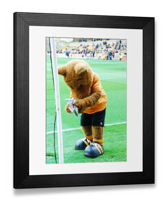 Framed Print : Wolfie & Wendy: The Mascots of Wolverhampton Wanderers Football Club Framed Print : Wolfie & Wendy: The Mascots of Wolverhampton Wanderers Football Club