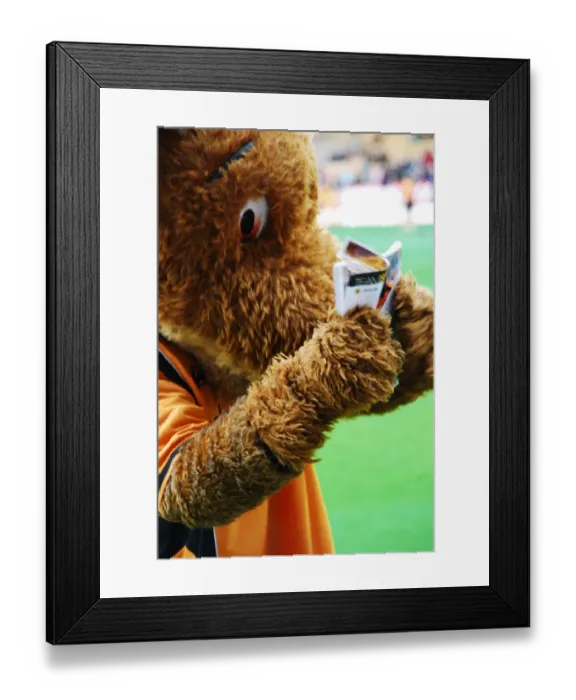 Framed Print : Wolfie & Wendy: The Unforgettable Wolves Duo of Wolverhampton Wanderers Framed Print : Wolfie & Wendy: The Unforgettable Wolves Duo of Wolverhampton Wanderers