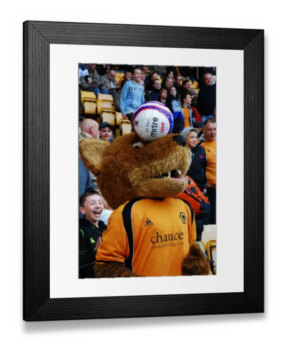 Framed Print : Wolverhampton Wanderers Mascots: Wolfie & Wendy, The Wolves Duo