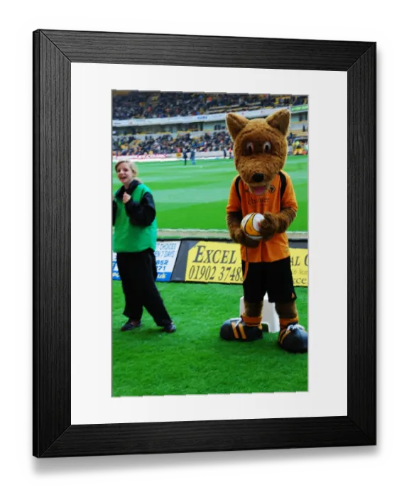 Framed Print : Wolverhampton Wanderers: Wolfie & Wendy - The Unforgettable Duo Framed Print : Wolverhampton Wanderers: Wolfie & Wendy - The Unforgettable Duo
