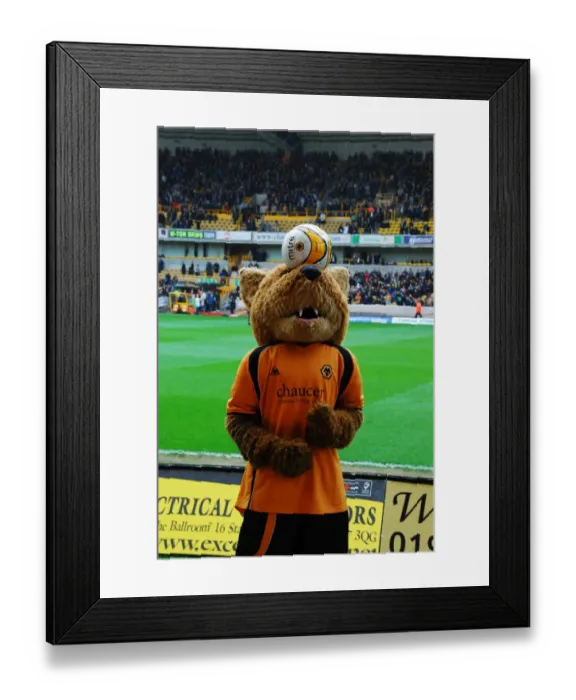 Framed Print : Wolfie and Wendy: The Playful Mascots of Wolverhampton Wanderers Football Club Framed Print : Wolfie and Wendy: The Playful Mascots of Wolverhampton Wanderers Football Club