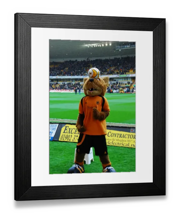 Framed Print : Wolfie & Wendy: The Legendary Wolverhampton Wanderers Duo Framed Print : Wolfie & Wendy: The Legendary Wolverhampton Wanderers Duo