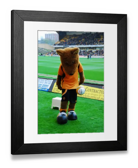 Framed Print : Wolfie & Wendy: Legendary Duo of Wolverhampton Wanderers Football Club Framed Print : Wolfie & Wendy: Legendary Duo of Wolverhampton Wanderers Football Club
