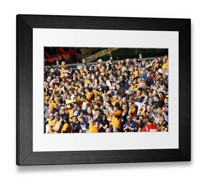 Framed Print : Wolverhampton Wanderers Promoted: Unforgettable Moments from Wolves vs QPR (Championship, 2008-09)
