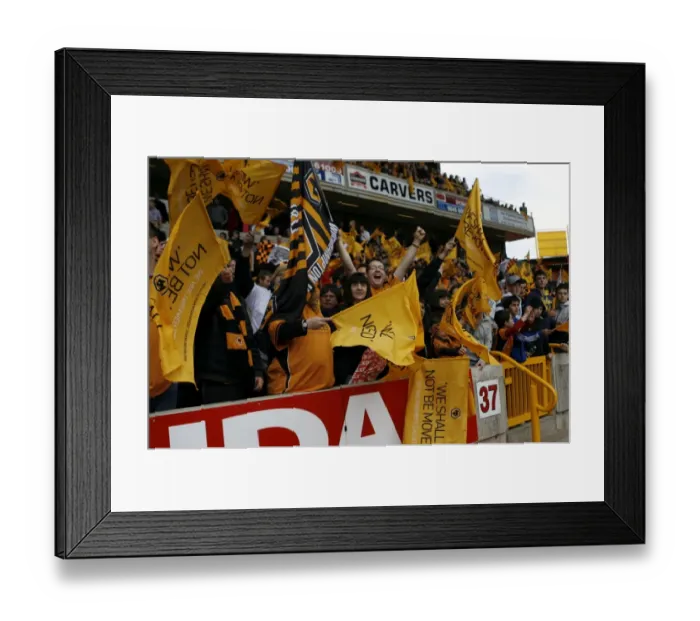 Framed Print : Wolves Celebrate Championship Promotion: Unforgettable Moment at Molineux (3 / 5 / 09) Framed Print : Wolves Celebrate Championship Promotion: Unforgettable Moment at Molineux (3 / 5 / 09)