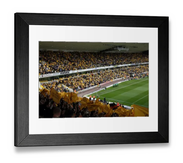 Framed Print : Triumphant Molineux: Wolverhampton Wanderers 2008-09 Championship Victory Celebration Framed Print : Triumphant Molineux: Wolverhampton Wanderers 2008-09 Championship Victory Celebration