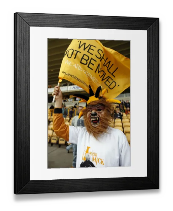 Framed Print : Wolverhampton Wanderers: Championship Title Win - Fan's Euphoric Fancy Dress Celebration vs Doncaster Rovers (08 / 09)