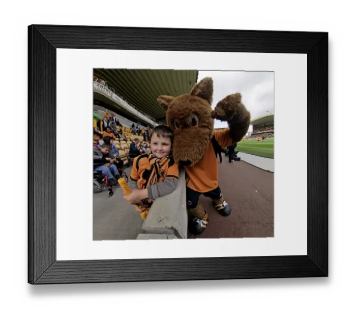 Framed Print : Wolverhampton Wanderers: 2008-09 Championship Win - Triumphant Fan and Mascot with the Trophy Framed Print : Wolverhampton Wanderers: 2008-09 Championship Win - Triumphant Fan and Mascot with the Trophy