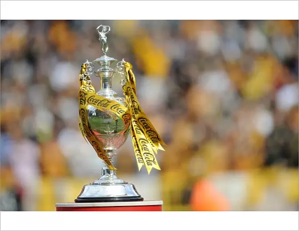 Wolverhampton Wanderers: 2008-09 Championship Win - Celebrating the Trophy
