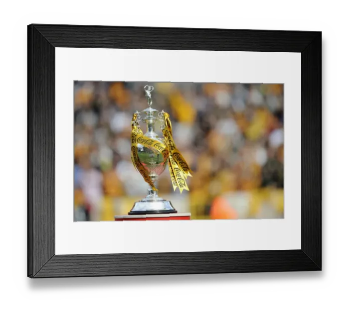 Framed Print : Wolverhampton Wanderers: 2008-09 Championship Win - Celebrating the Trophy