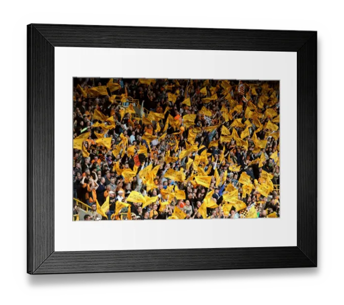 Framed Print : Wolverhampton Wanderers: Euphoric Championship Win - Celebrating Promotion to the Premier League