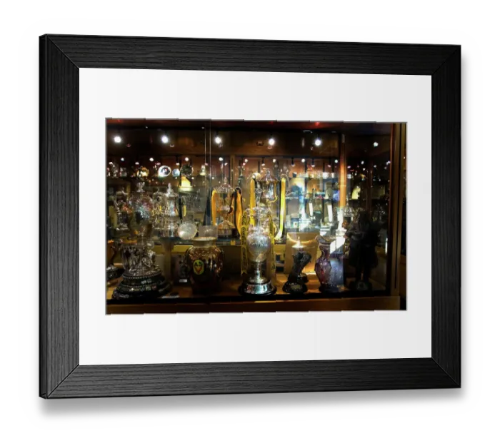 Framed Print : Wolverhampton Wanderers: 201X Championship Winning Team - Celebrating with the Coca-Cola Championship Trophy Framed Print : Wolverhampton Wanderers: 201X Championship Winning Team - Celebrating with the Coca-Cola Championship Trophy