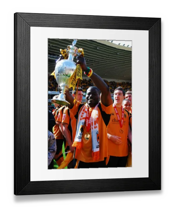 Framed Print : Wolverhampton Wanderers: 2008-09 Championship Champions - Celebrating Glory: Matches & Moments